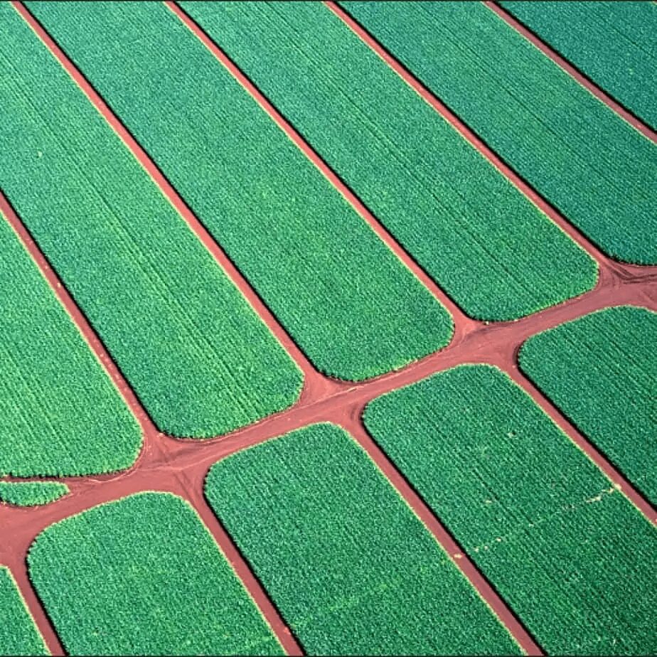 O que é Agricultura de Precisão: como suas práticas estão inovando o setor agrícola?