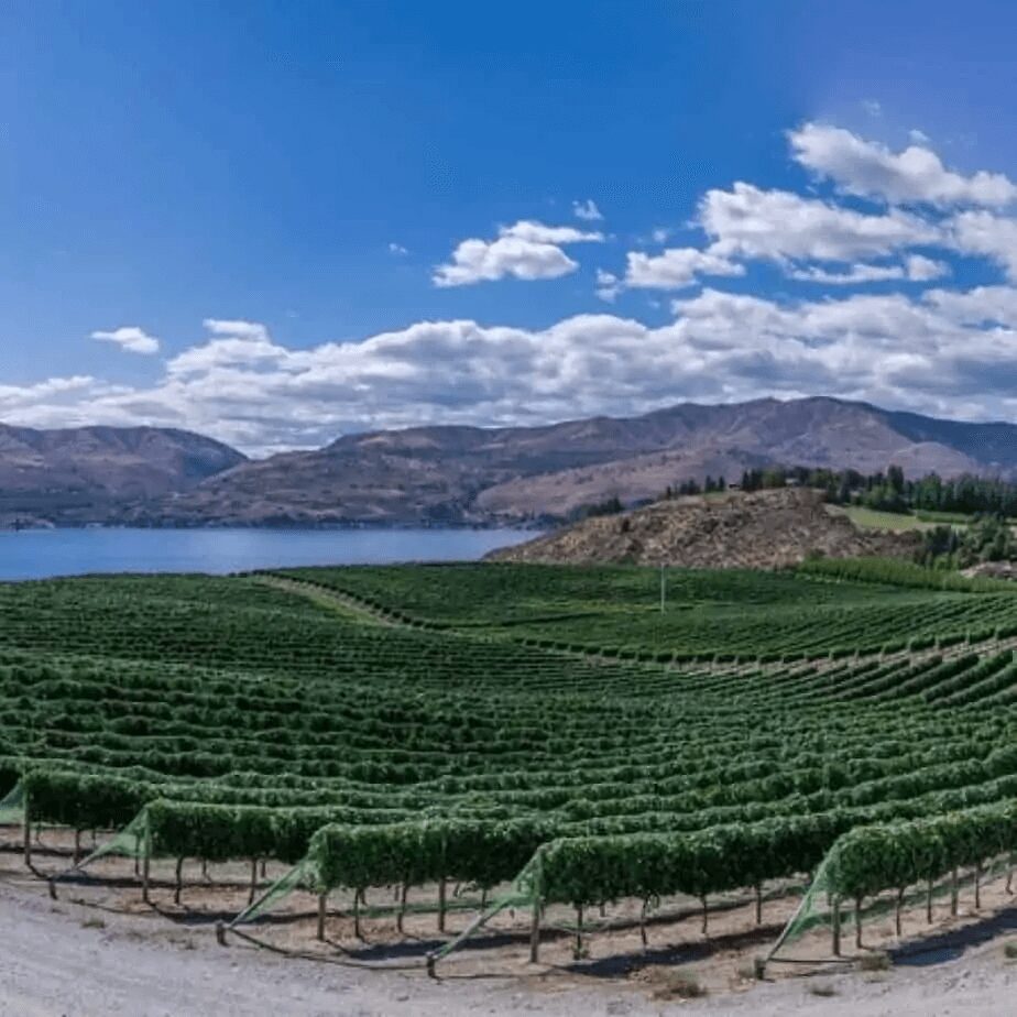 O que é o sensoriamento remoto e qual a sua importância na agricultura?