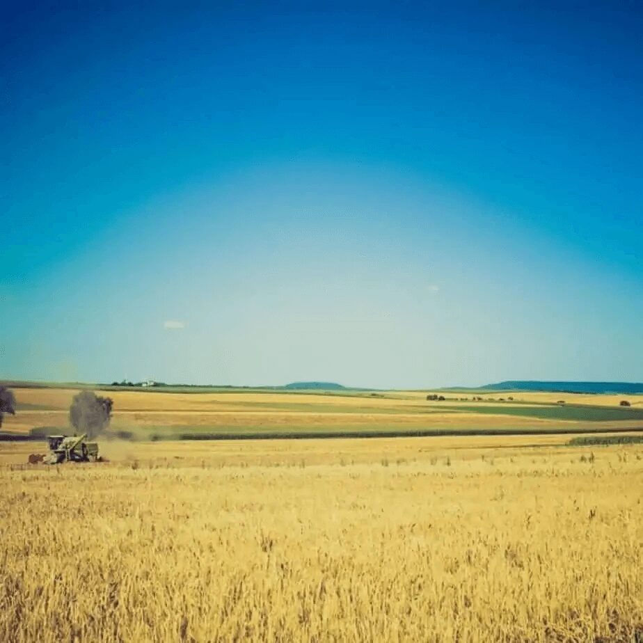 Tecnologia agrícola: a importância e principais inovações