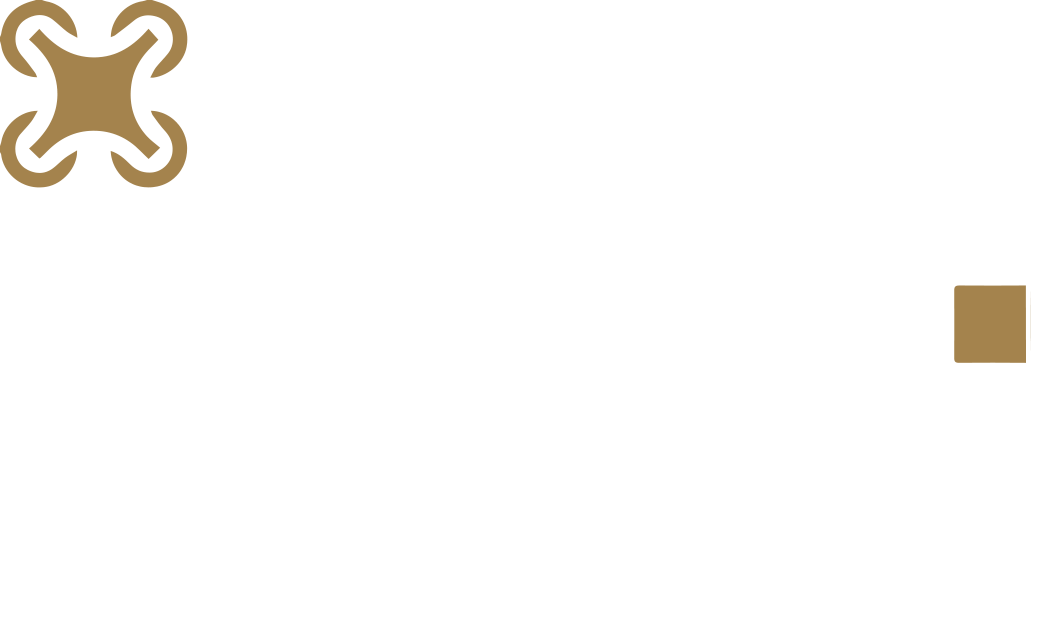 Logotipo PixFlight 1 Logotipo PixFlight 1